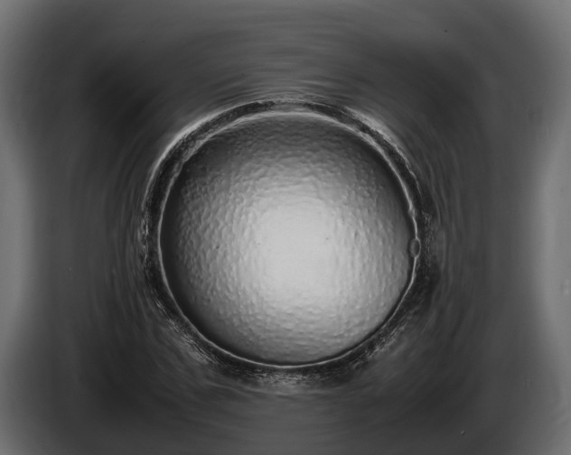 X0000085780971200703231242