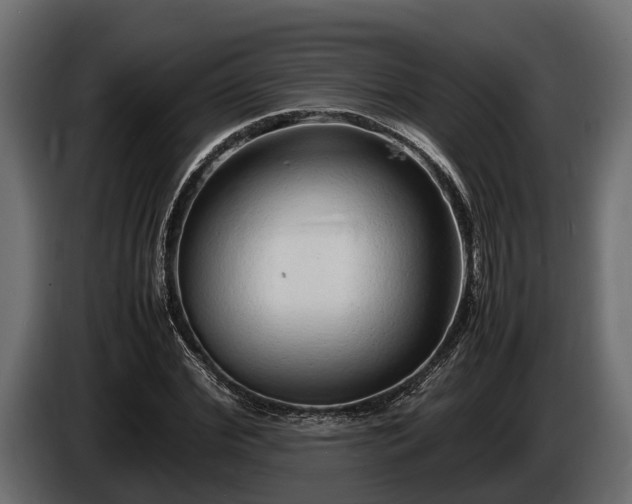 X0000085780972200703231242