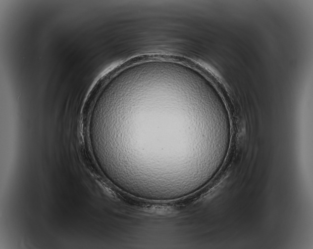 X0000085780974200703231242