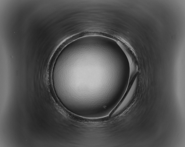 X0000085780976200703231242