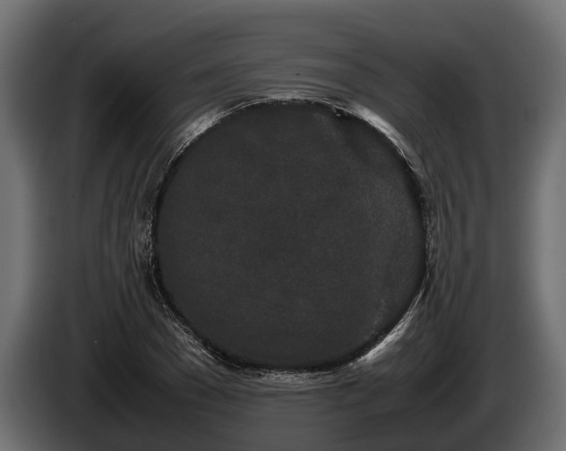 X0000085780977200703231242