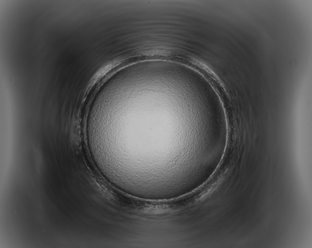 X0000085780978200703231242