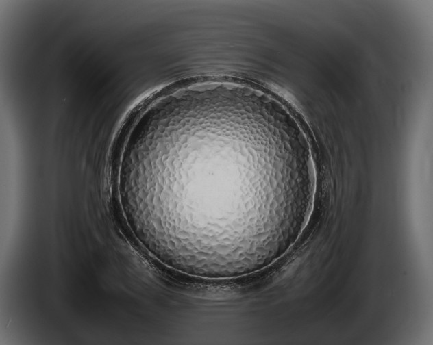 X0000085780979200703231242