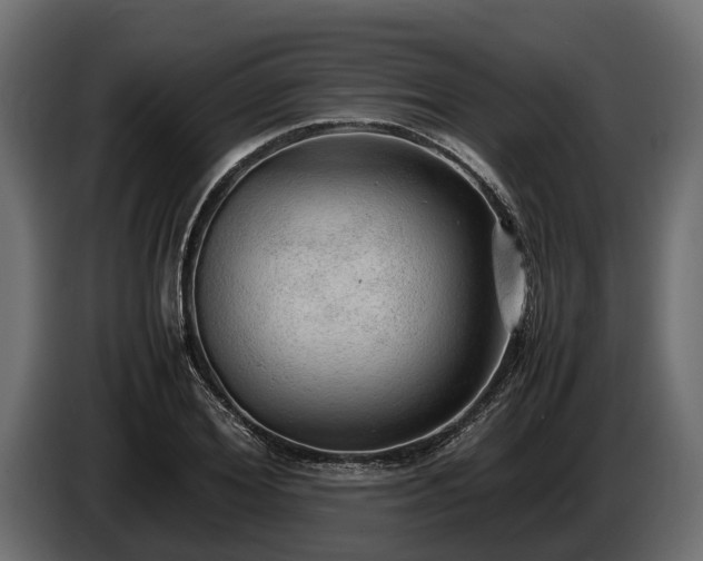 X0000085780980200703231242