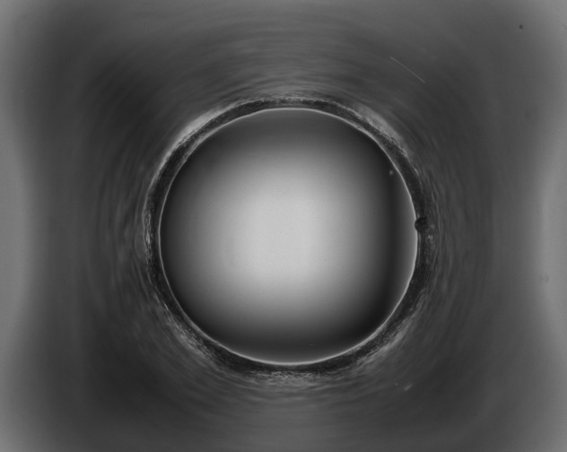 X0000085780981200703231242