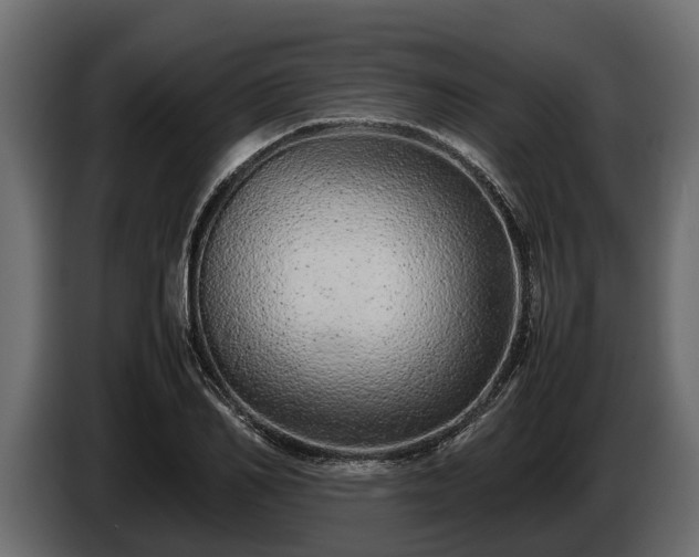 X0000085780982200703231242