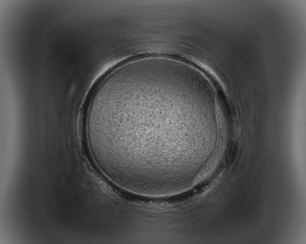 X0000085780983200703231242