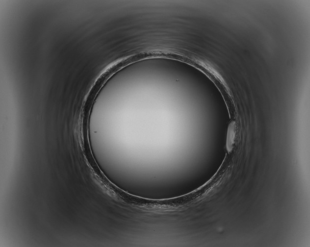 X0000085780984200703231242