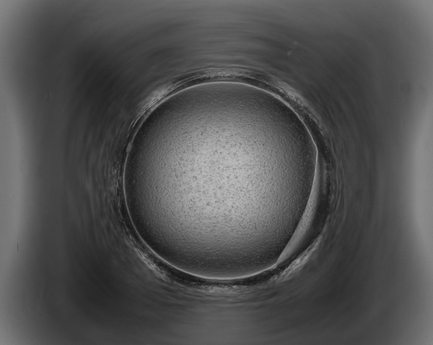 X0000085780985200703231242