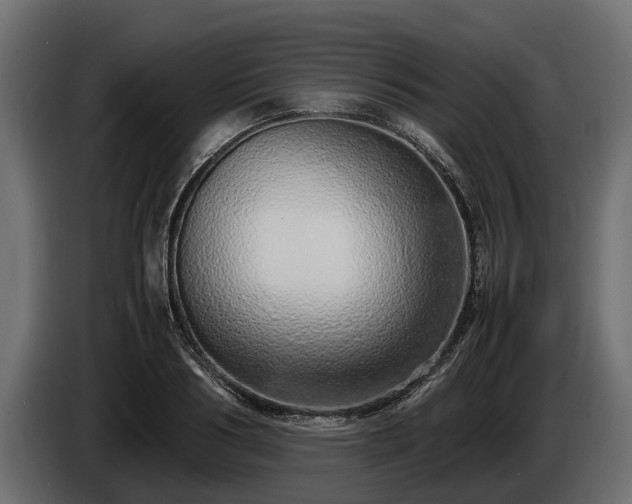 X0000085780986200703231242