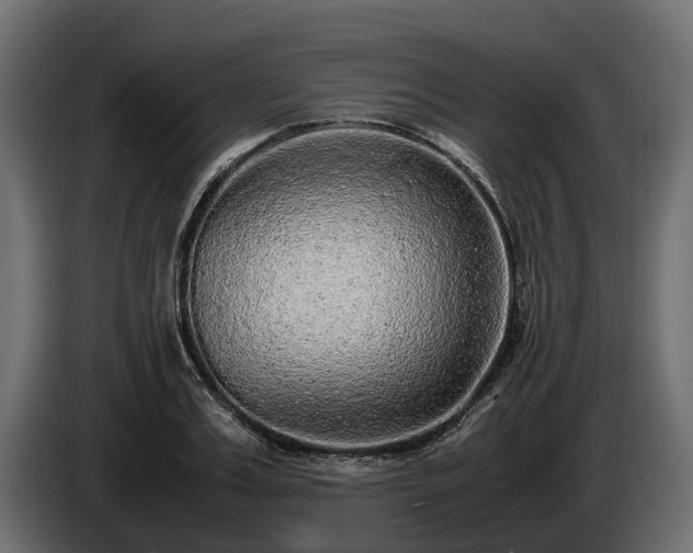 X0000085780987200703231242