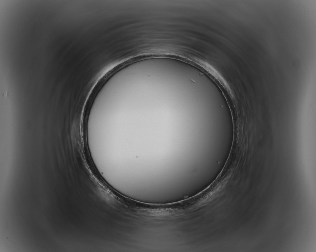 X0000085780988200703231241