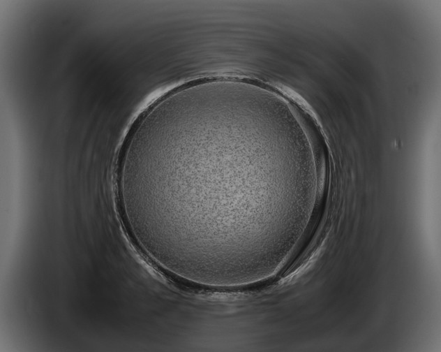 X0000085780989200703231241