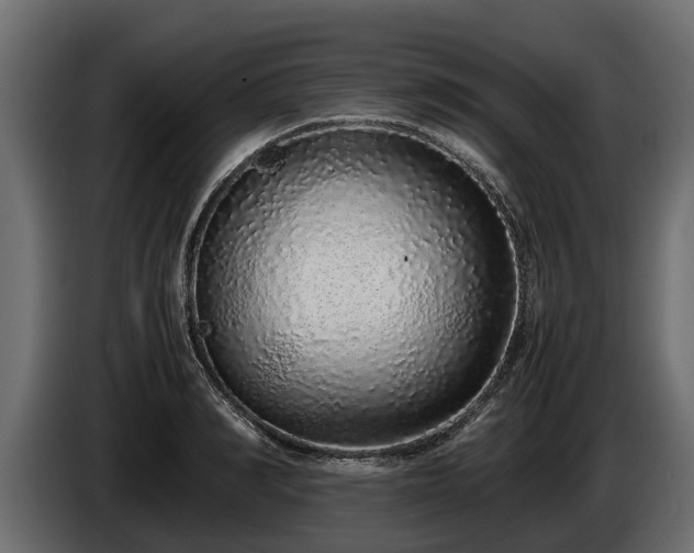 X0000085780990200703231241