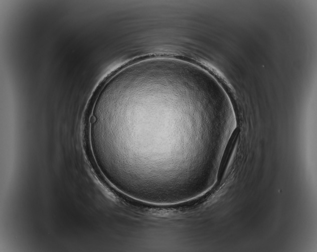 X0000085780991200703231241