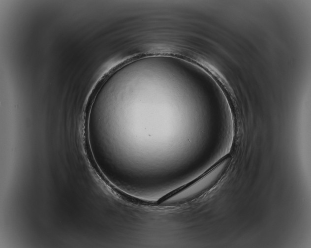 X0000085780992200703231241