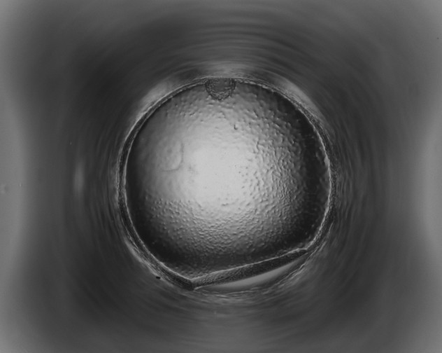 X0000085780994200703231241