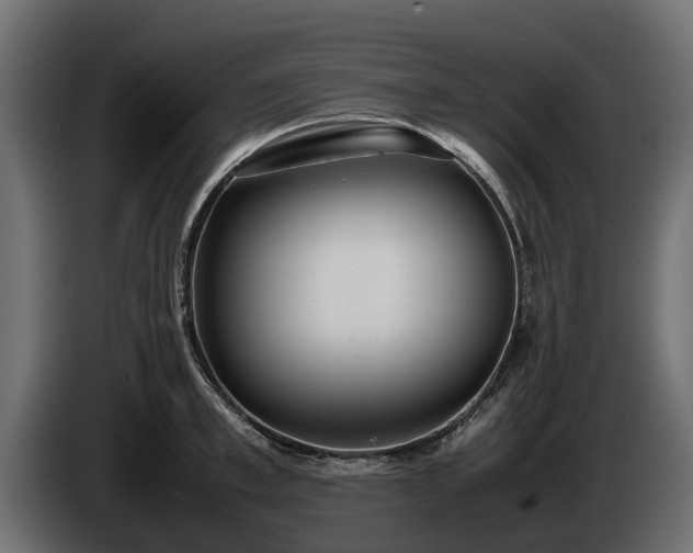 X0000085780997200703231241