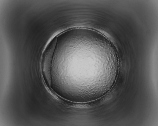 X0000085780998200703231241