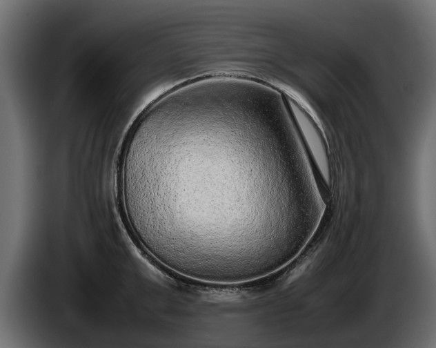 X0000085780999200703231241