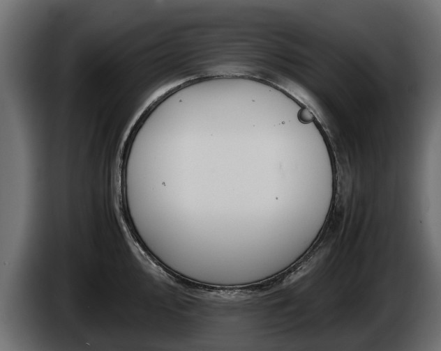 X0000085781000200703231241