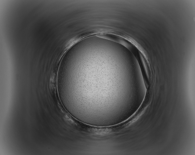 X0000085781001200703231241