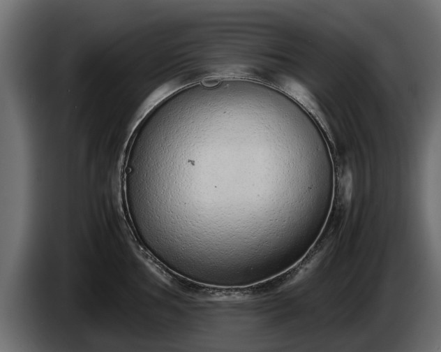 X0000085781002200703231241