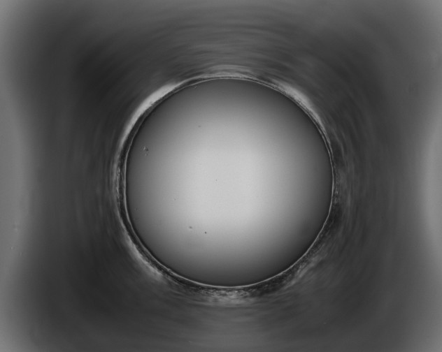 X0000085781003200703231241