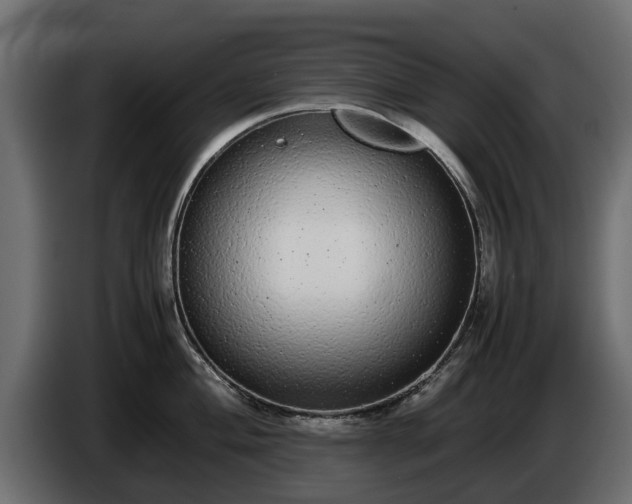 X0000085781004200703231241