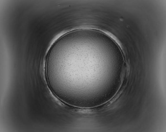 X0000085781006200703231241