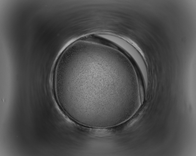 X0000085781007200703231241