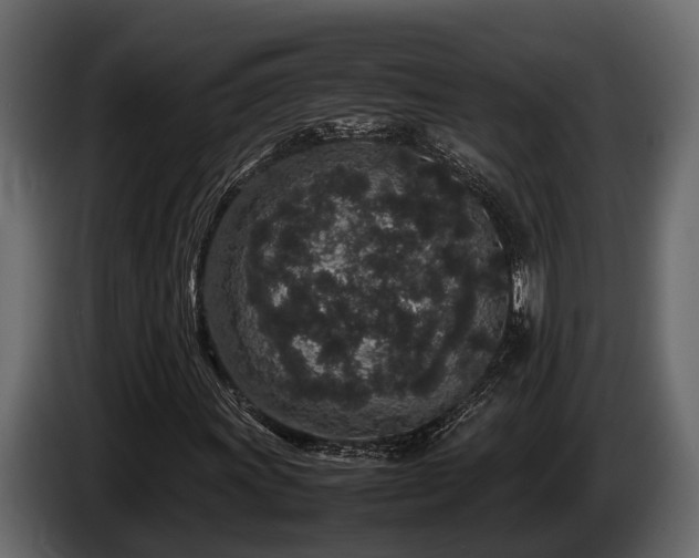 X0000085781011200703231240