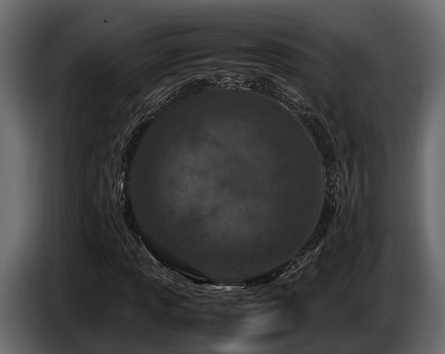 X0000085781013200703231241