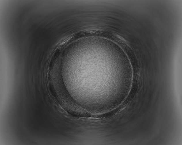 X0000085781014200703231241