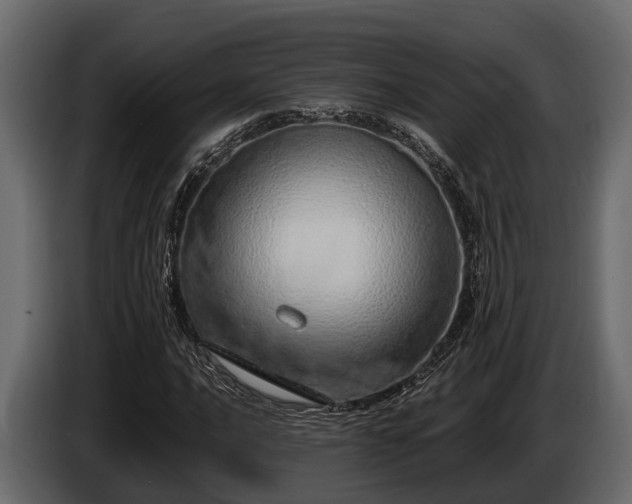 X0000085781016200703231241