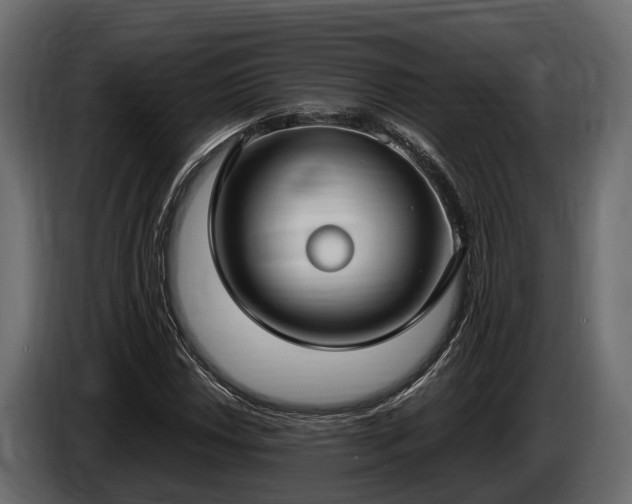 X0000085781018200703231241