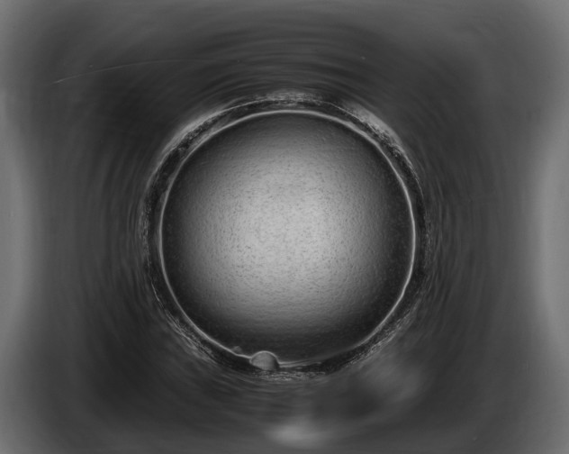 X0000085781019200703231241