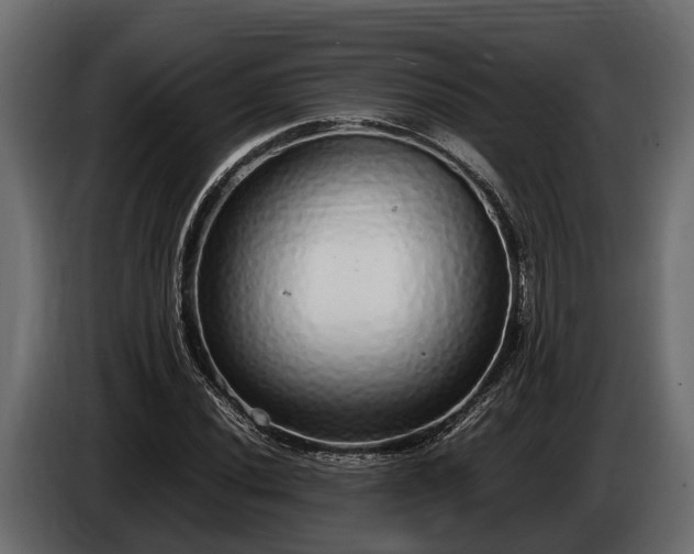 X0000085781020200703231241