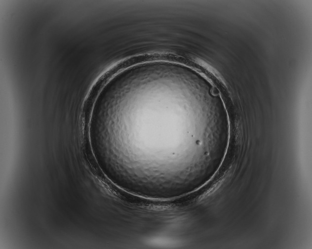 X0000085781021200703231241