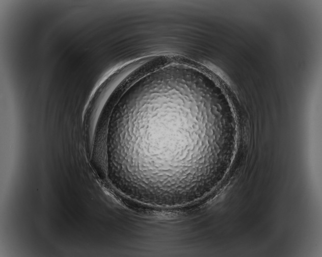 X0000085781022200703231241