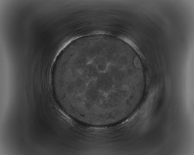 X0000085781023200703231241