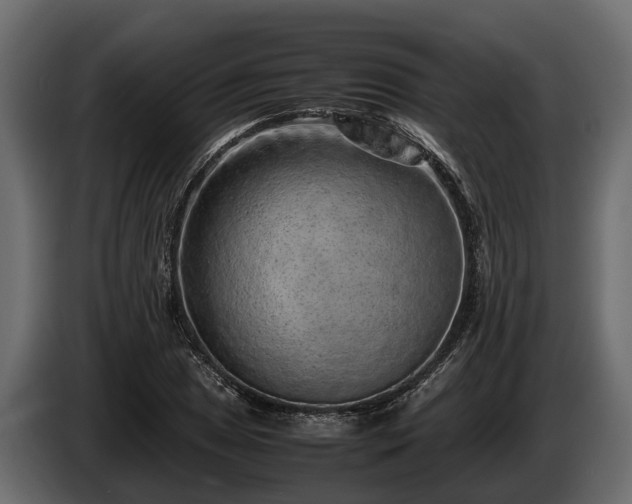 X0000085781025200703231241