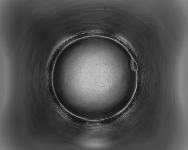 X0000085781027200703231241