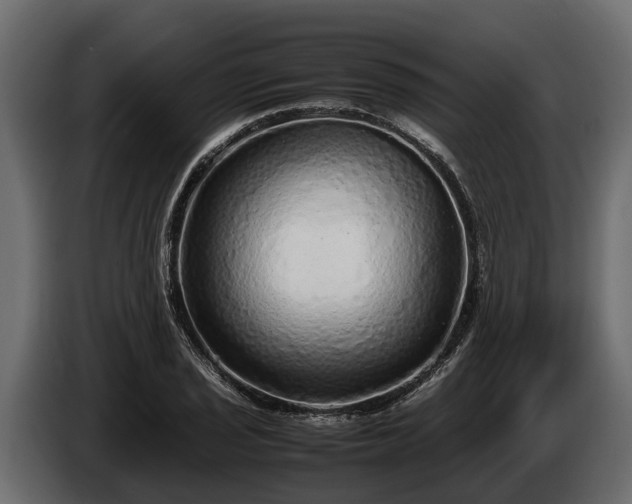 X0000085781029200703231241