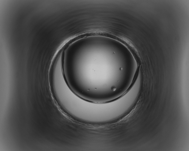 X0000085781030200703231241