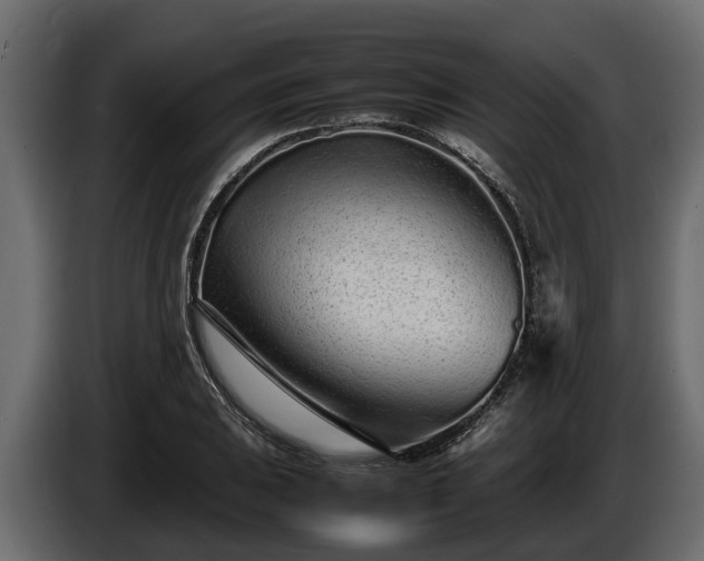 X0000085781031200703231241