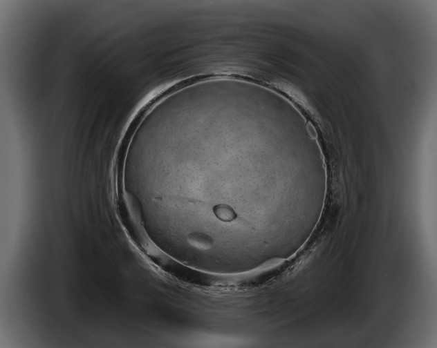 X0000085781032200703231241