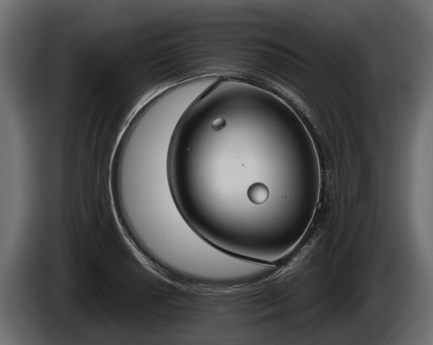 X0000085781034200703231241