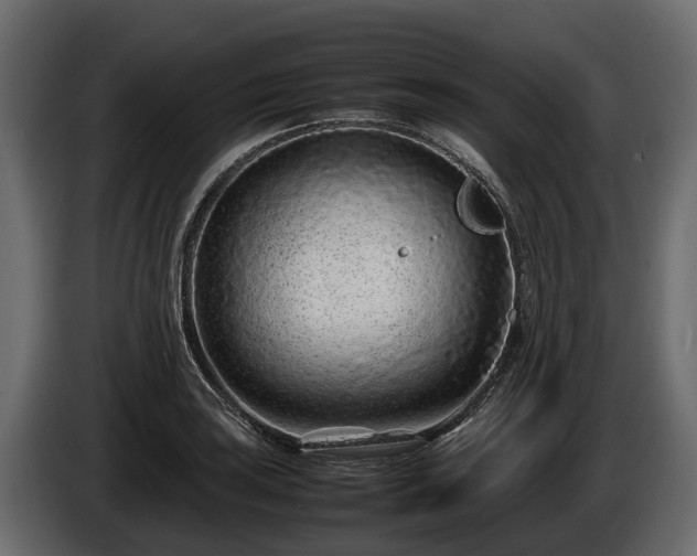 X0000085781035200703231241