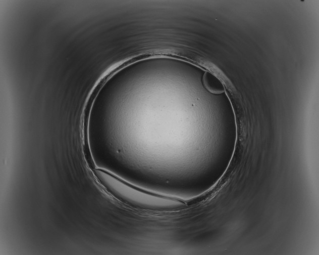 X0000085781036200703231241